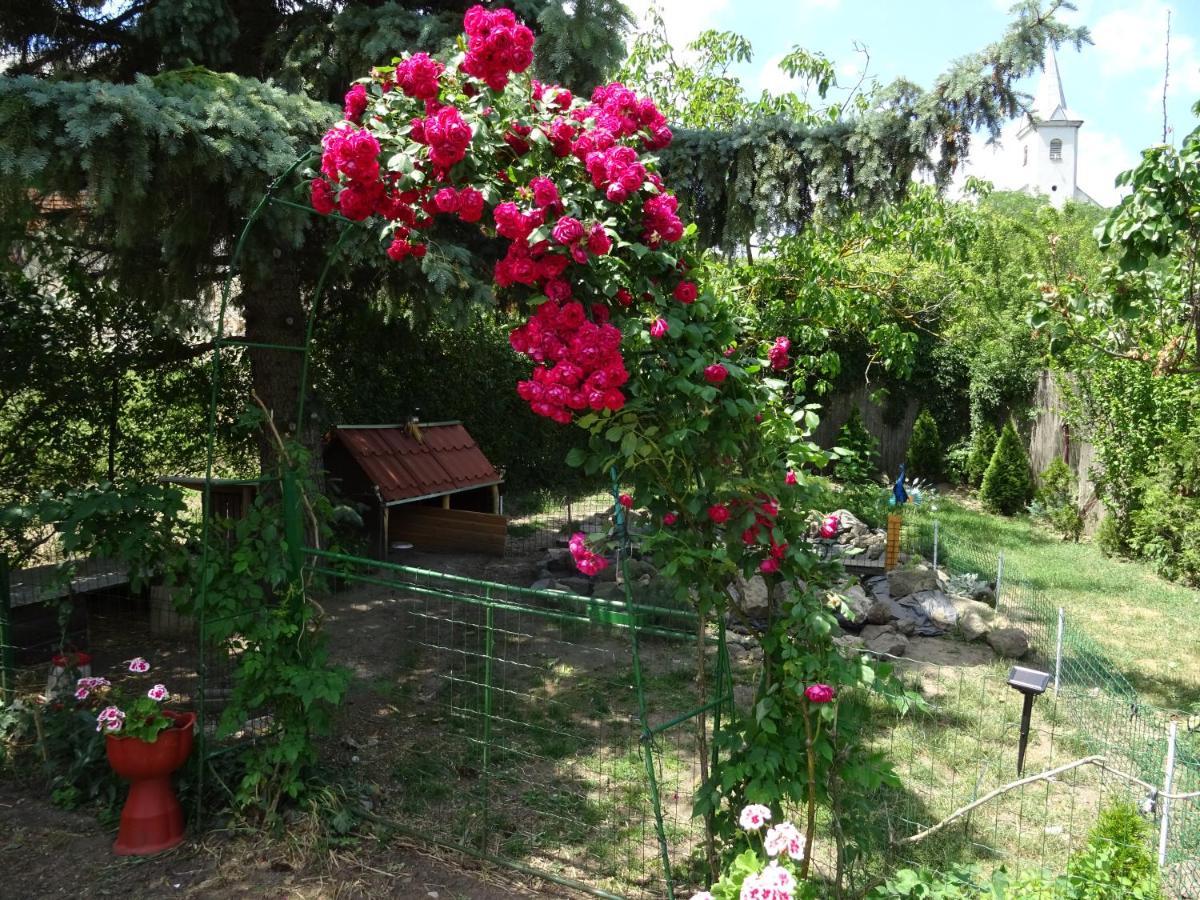 Guesthouse Ilona Velky Kamenec Exterior foto